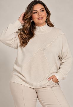 Immagine di PLUS SIZE TURTLE NECK SWEATER